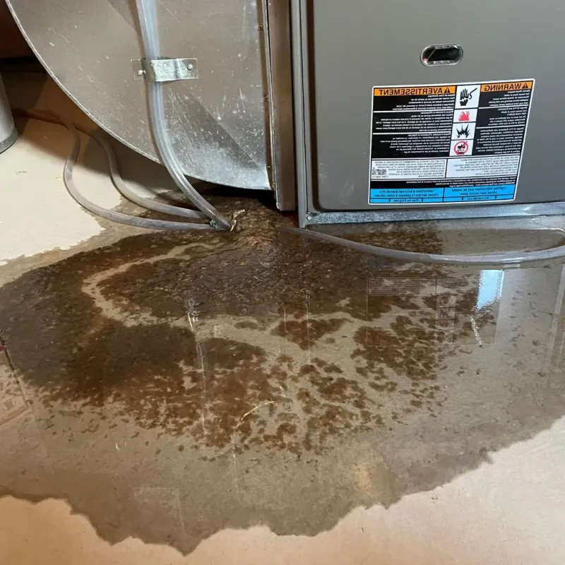 Pipe Burst and Leak Restoration in Sumidero, PR